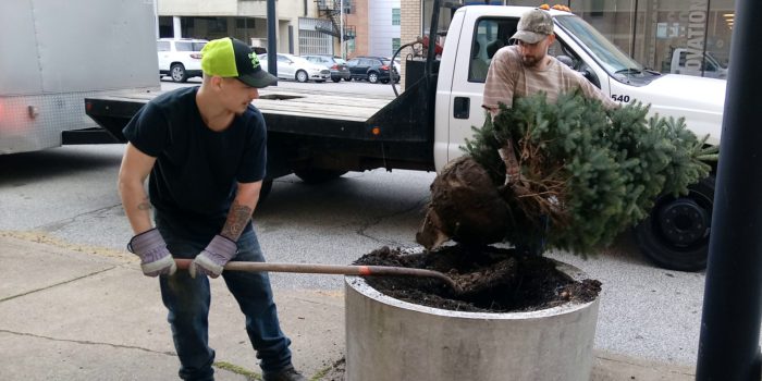 Land Bank, CityScape Recycle Trees In Youngstown