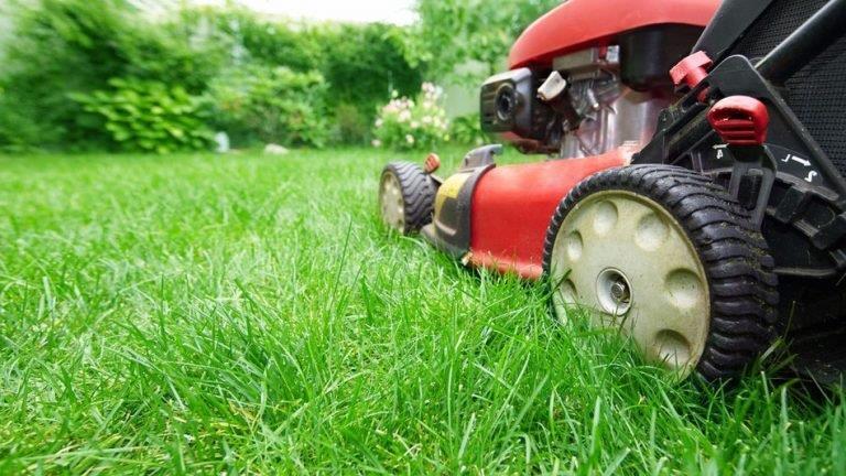 mowing lawn photo | Mahoning County Land Bank