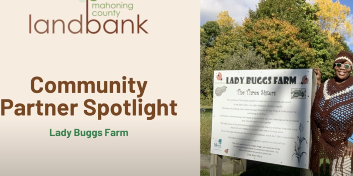 Community Partner Spotlight: Lady Buggs Farm
